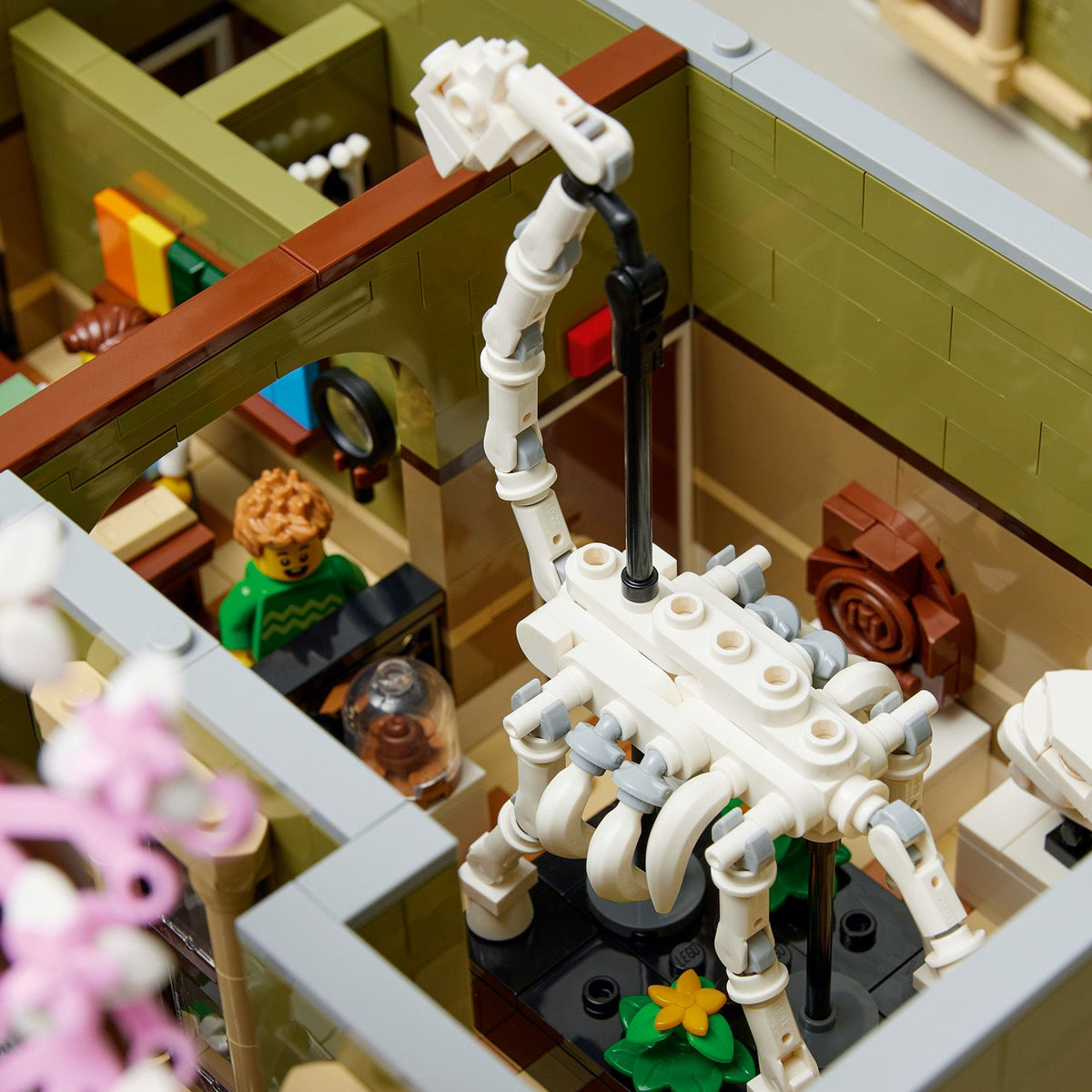 LEGO® Icons Natural History Museum