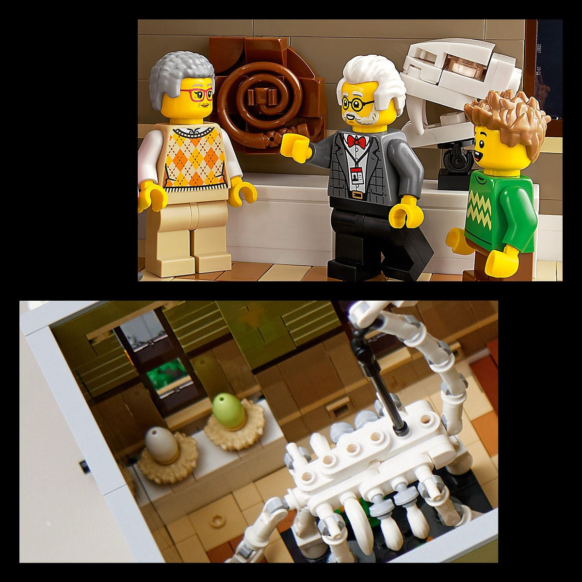 LEGO® Icons Natural History Museum