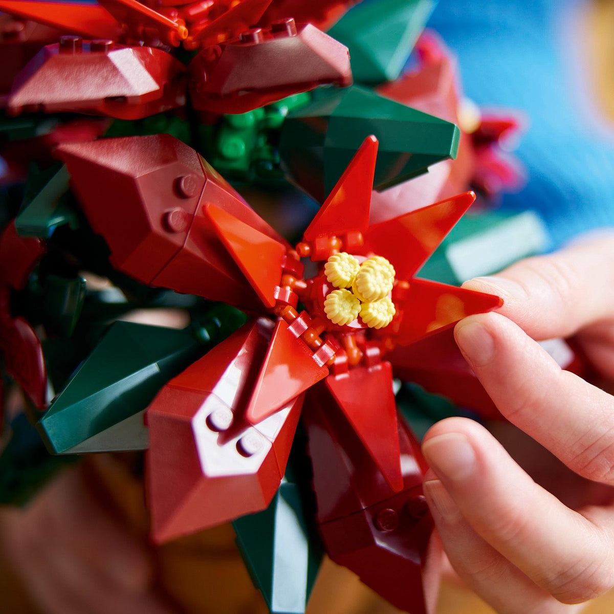 LEGO® Icons Poinsettia