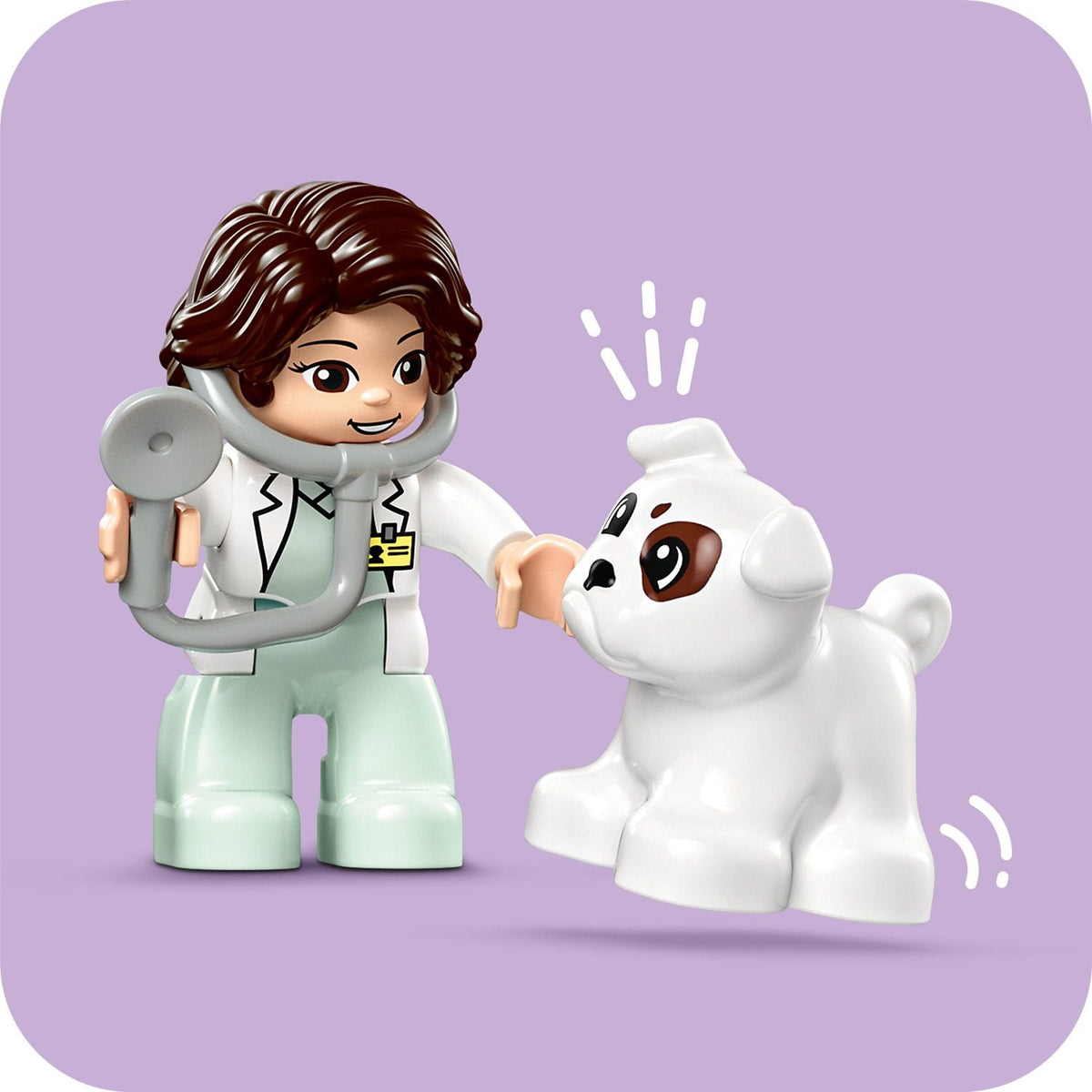 LEGO® DUPLO® Town Visit to the Vet Clinic