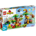 LEGO® DUPLO® Wild Animals of South America