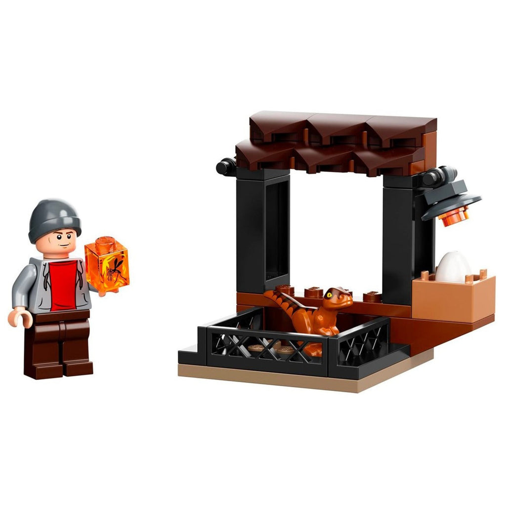 LEGO® Jurassic World™ Dinosaur Market