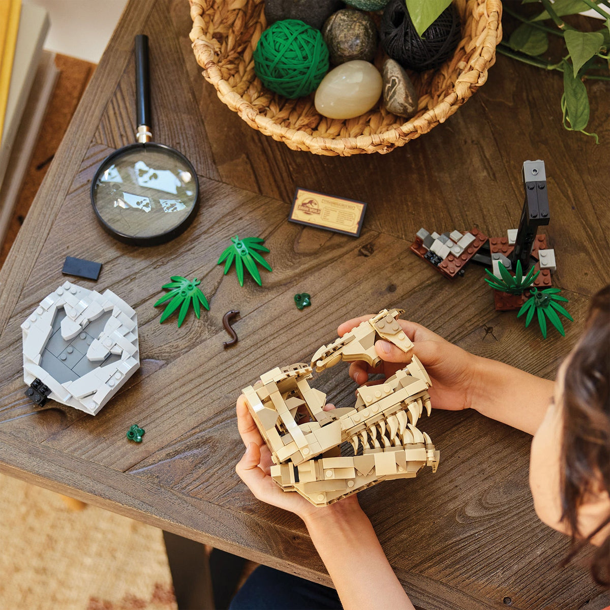 LEGO® Jurassic World Dinosaur Fossils: T. rex Skull