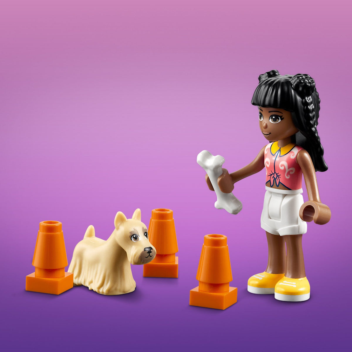 LEGO® Friends™ Pet Day-Care