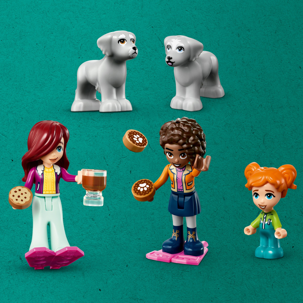 LEGO® Friends™ Igloo Holiday Adventure