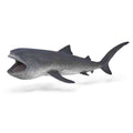 Megamouth Shark