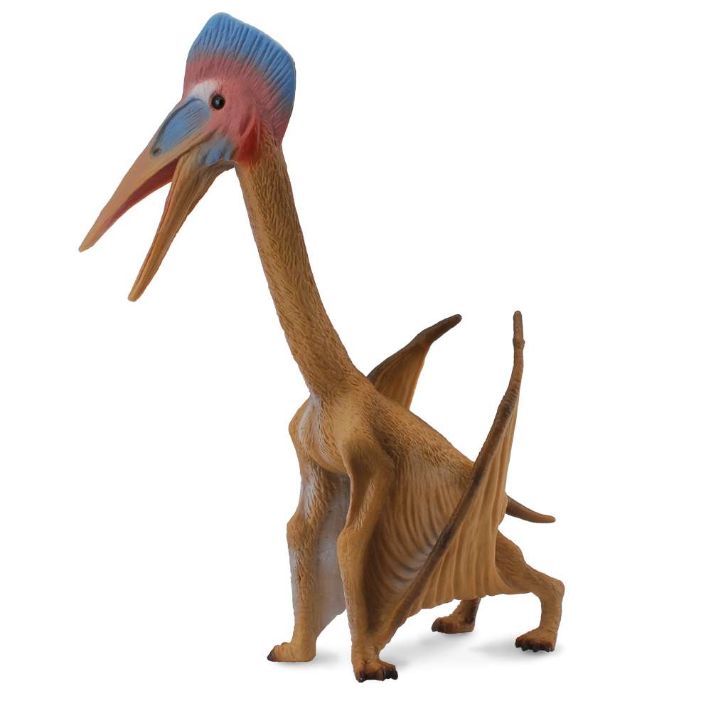 Hatzegopteryx