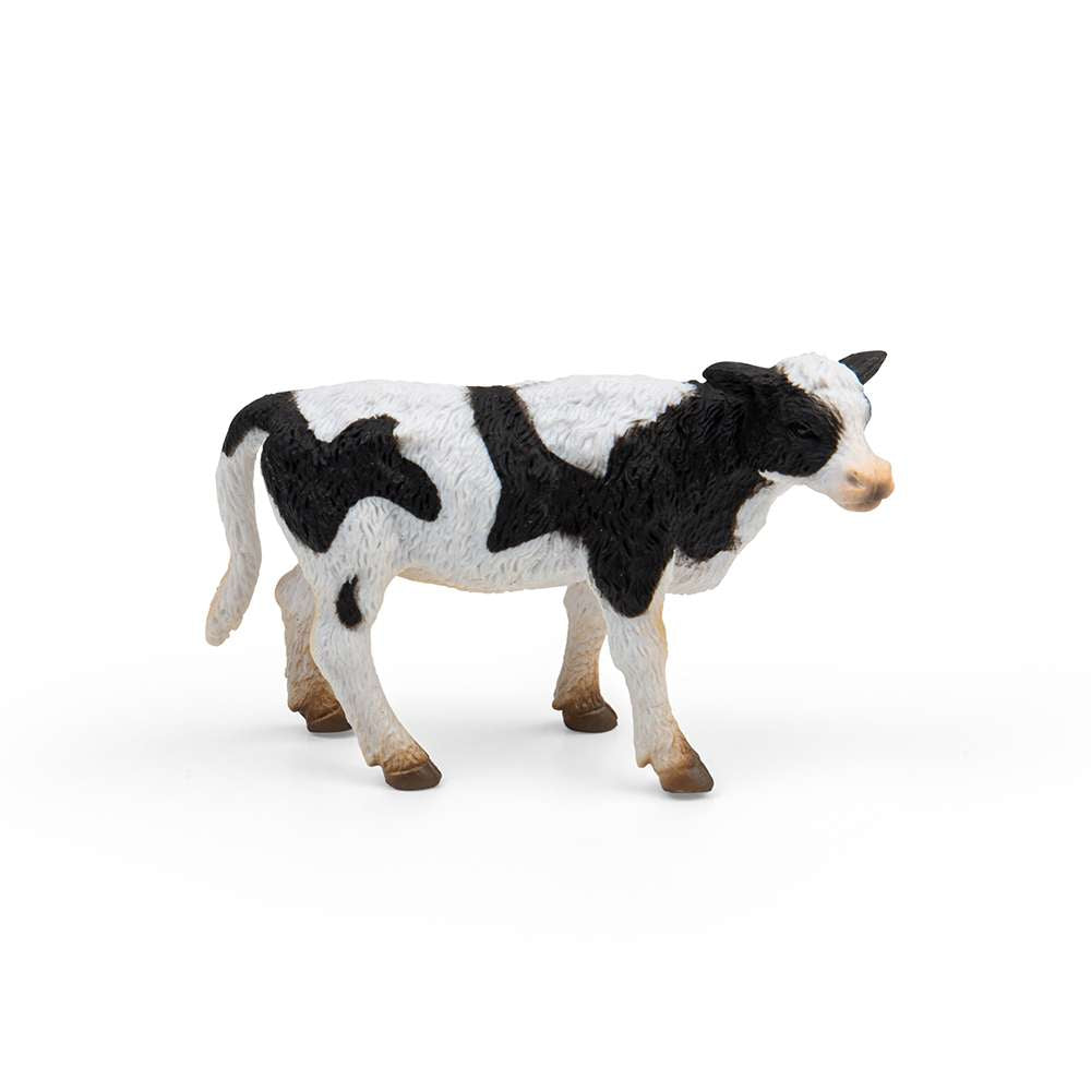 Friesian Calf Standing