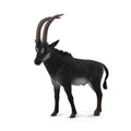 Giant Sable Antelope Male