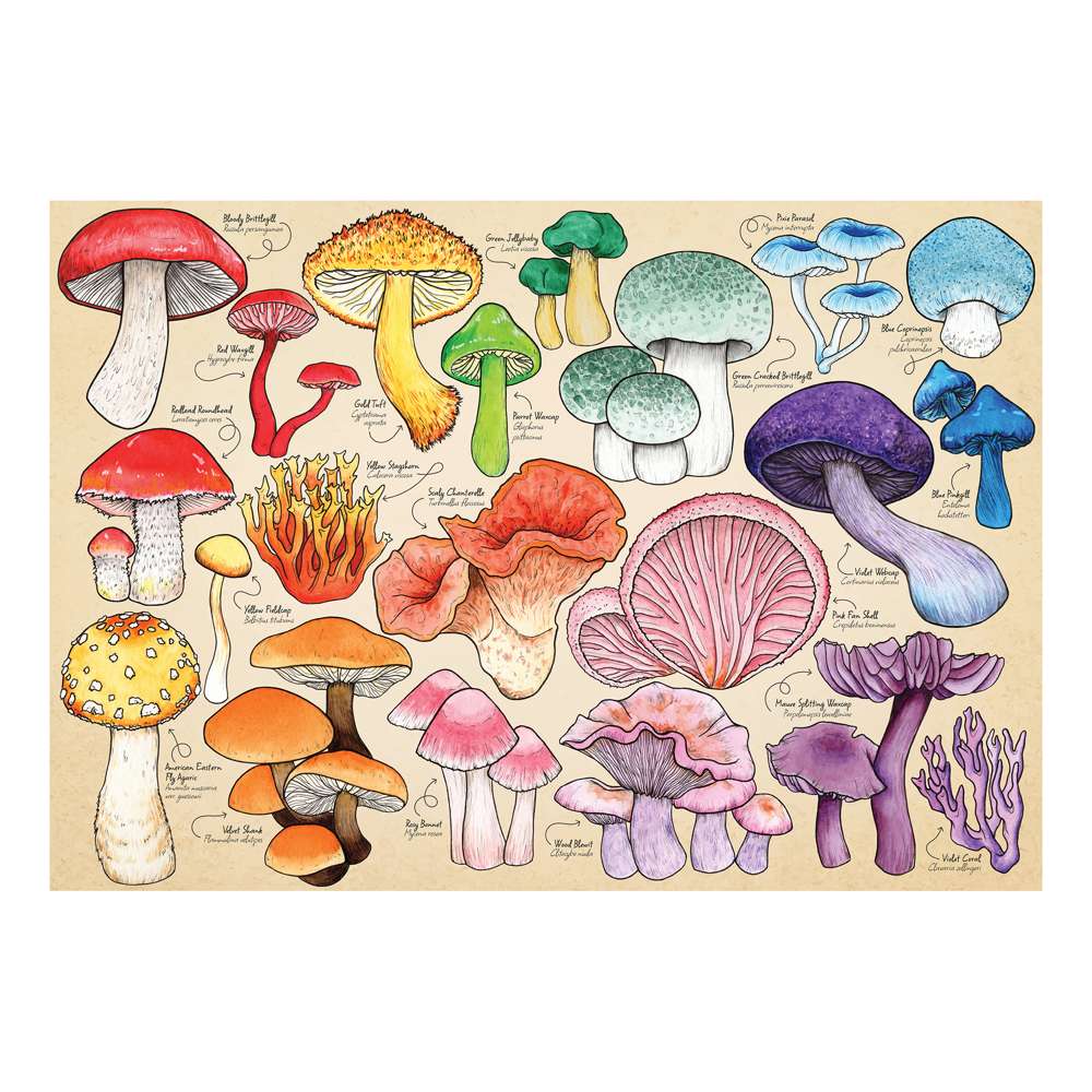 Mushroom Mania Puzzle Tube - 150 Piece