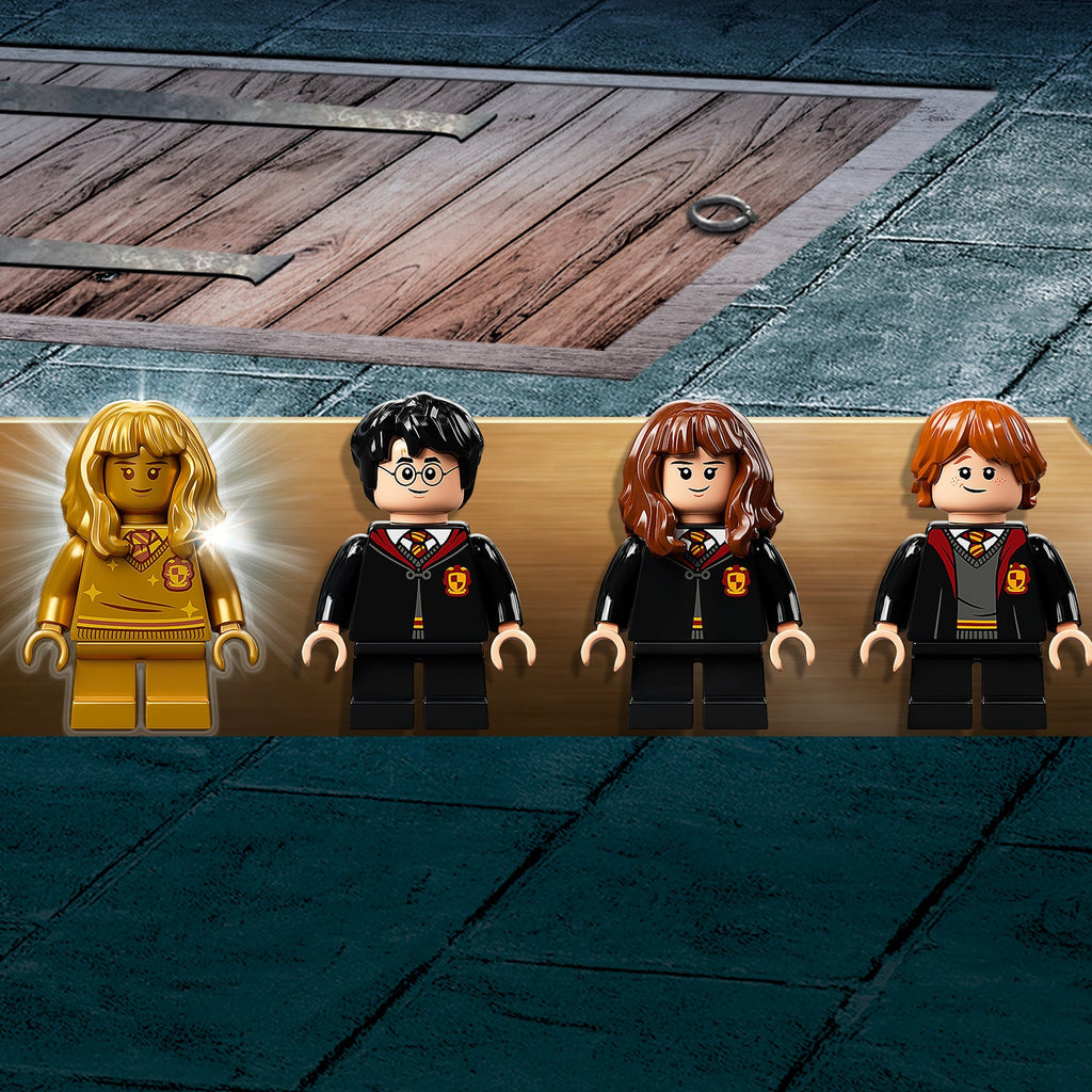 LEGO® Harry Potter™ Hogwarts™: Fluffy Encounter